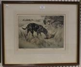 DANIEL Henry Wilkinson Black Labrador Retrieving Pheasant DANIEL Henry Wilkinson Black Labrador Retrieving Pheasant