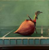 DANIEL Sergio Onion DANIEL Sergio Onion