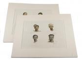 DANIELL Samuel Daniell````s Heads DANIELL Samuel Daniell````s Heads