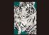 DANKS Rabindra White Tiger DANKS Rabindra White Tiger