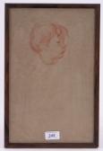Darwin Elinor Sanguine Chalk Drawing Darwin Elinor Sanguine Chalk Drawing
