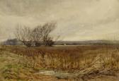 DAVEY Peter Marshland Scene DAVEY Peter Marshland Scene
