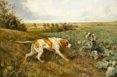 DAVIS Arthur A. Pointers Working A Field DAVIS Arthur A. Pointers Working A Field