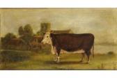 DAVIS E.F. A Hereford Cow DAVIS E.F. A Hereford Cow