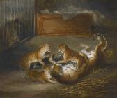 DAVIS Richard Barrett Three 'liger' Cubs Bred Between A Lion And A Tigress At The Royal Menagerie, Sandpit Gate, Windsor Great Park DAVIS Richard Barrett Three 'liger' Cubs Bred Between A Lion And A Tigress At The Royal Menagerie, Sandpit Gate, Windsor Great Park