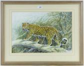 DAVISON Robert Leopard DAVISON Robert Leopard