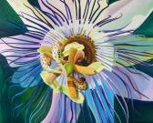 DAVISON Tom Orchid DAVISON Tom Orchid