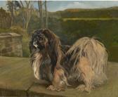 DAWS Frederick Thomas Pekingese Standing On A Stone Wall DAWS Frederick Thomas Pekingese Standing On A Stone Wall