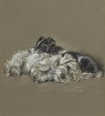 DAWSON Lucy Dogs Rough And Smooth DAWSON Lucy Dogs Rough And Smooth