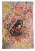 DAWSON MARJORIE Cat In A Tree DAWSON MARJORIE Cat In A Tree