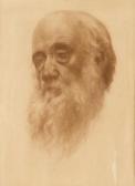 DE CONEDO A. Testa Senile Barbuta DE CONEDO A. Testa Senile Barbuta