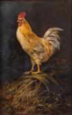 de GIRAO José Sousa Moura Rooster de GIRAO José Sousa Moura Rooster