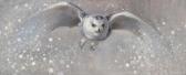 de Groot Ewoud Snow Hunter (snowy Owl) de Groot Ewoud Snow Hunter (snowy Owl)