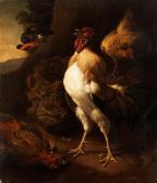 de HONDECOETER Melchior Der Stolze Hahn de HONDECOETER Melchior Der Stolze Hahn
