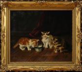 de neville brund Kittens And Milk de neville brund Kittens And Milk