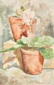 de SOUZA Aurelia Maria Sardinheiras / Gerânios de SOUZA Aurelia Maria Sardinheiras / Gerânios