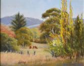 De STOOP CHRISTINE Tumut Country De STOOP CHRISTINE Tumut Country