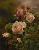 DEBRUS Alexandre Roses DEBRUS Alexandre Roses