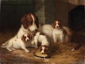 DECAUVILLE J. Mother Dog With Three Pups In The Stable DECAUVILLE J. Mother Dog With Three Pups In The Stable