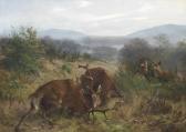 DEIKER Carl Fighting Stag DEIKER Carl Fighting Stag