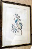 DELANEY W. Kingfisher DELANEY W. Kingfisher