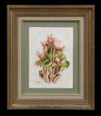 DEMUTH Charles Henry Cyclamens DEMUTH Charles Henry Cyclamens