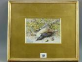 DENDY G. Dead Bird DENDY G. Dead Bird