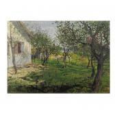 DERY Bela Alberi Da Frutta DERY Bela Alberi Da Frutta