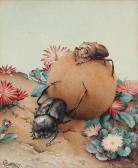 DETMOLD Edward Julian The Ball-rolling Beetles DETMOLD Edward Julian The Ball-rolling Beetles