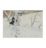 DEUEL Austin Untitled DEUEL Austin Untitled