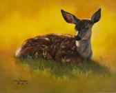 DEVENYNS Steve Fawn DEVENYNS Steve Fawn
