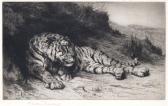 DICKSEE Herbert Thomas A Tiger By A Grassy Bank DICKSEE Herbert Thomas A Tiger By A Grassy Bank