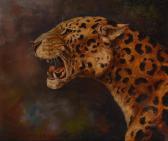 DILLER Helmut Gepard DILLER Helmut Gepard