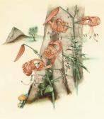 DINEEN ALICE Lillies DINEEN ALICE Lillies