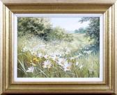 DIPNAL Mary Moon Daisies; Woodland Flowers DIPNAL Mary Moon Daisies; Woodland Flowers