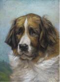 DIXON Frank E. A St. Bernard DIXON Frank E. A St. Bernard