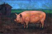 DOITCH Erich Pig DOITCH Erich Pig