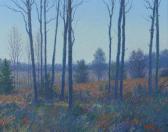 DOMMISSE D. Early Twilight DOMMISSE D. Early Twilight