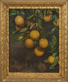 DONAGHY John Still Life With Lemons DONAGHY John Still Life With Lemons