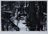 DONNELS Johnny Swamp Children
DONNELS Johnny Swamp Children