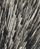 DORNER Ehrard Wood Pickets DORNER Ehrard Wood Pickets