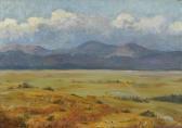 DOUGAN COLE Blanche Landscape DOUGAN COLE Blanche Landscape