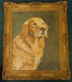Doughty Malcolm Golden Retrievermalcolm Doughty Doughty Malcolm Golden Retrievermalcolm Doughty