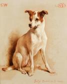 DOUGLAS Edwin Portrait Of A Terrier, Judy DOUGLAS Edwin Portrait Of A Terrier, Judy