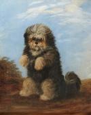 DOUGLAS Georgina Snuff DOUGLAS Georgina Snuff