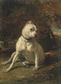 DREUX de Alfred Dogue Assis DREUX de Alfred Dogue Assis