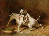 DREUX de Alfred Two Dogs Playing. DREUX de Alfred Two Dogs Playing.