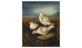 DUFFIELD R. Life Artist, Ptarmigan On A Scottish Hillside DUFFIELD R. Life Artist, Ptarmigan On A Scottish Hillside