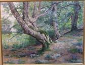 dumas grillet jean paul Paysage De Forêt dumas grillet jean paul Paysage De Forêt