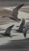 DUNCAN John Wild Geese DUNCAN John Wild Geese